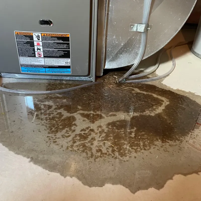 Appliance Leak Cleanup in McCreary County, KY